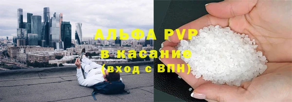 шишки Лабытнанги