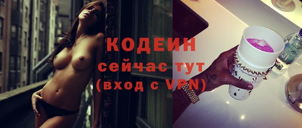шишки Лабытнанги