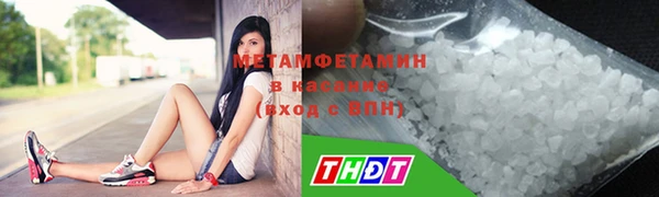 шишки Лабытнанги