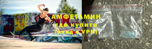 шишки Лабытнанги